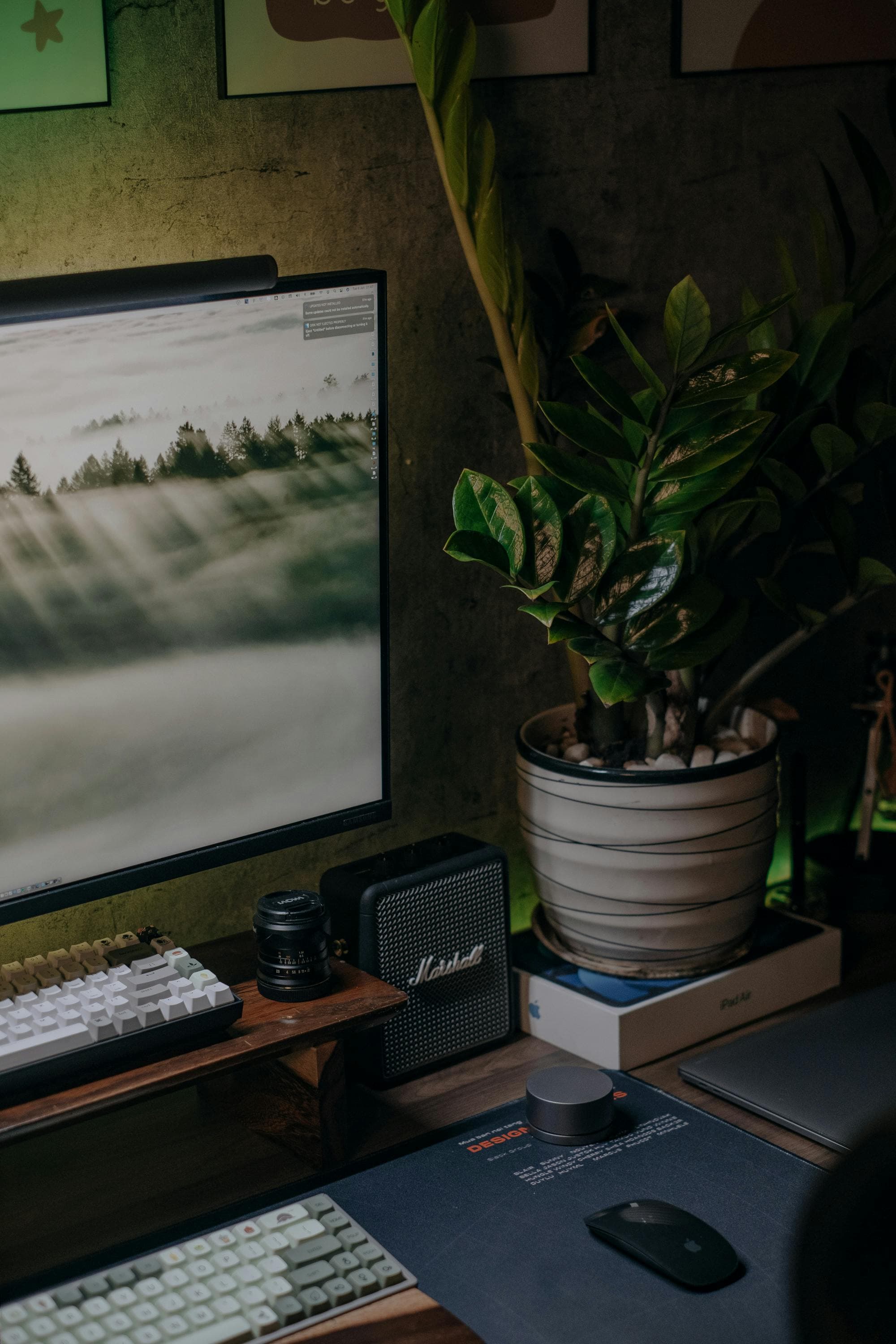 Web development illustration